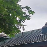 Вентиляция в туалете в Канаде